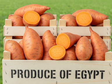 Packing and shipping